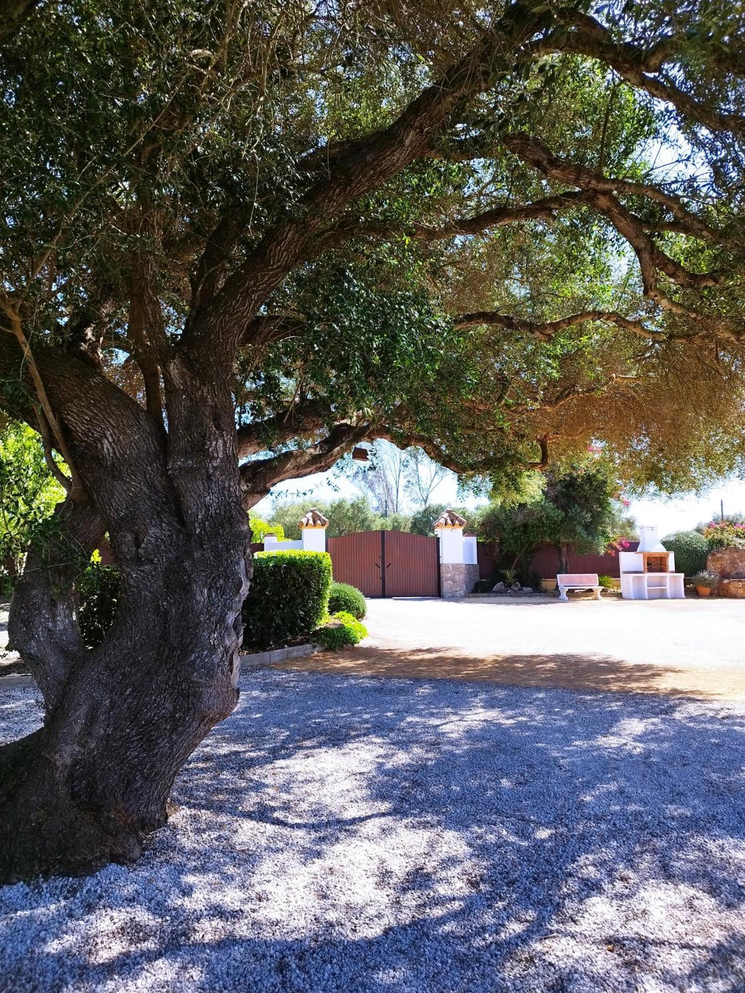 Vivienda Rural Los Madronos Malcocinado  Eksteriør bilde