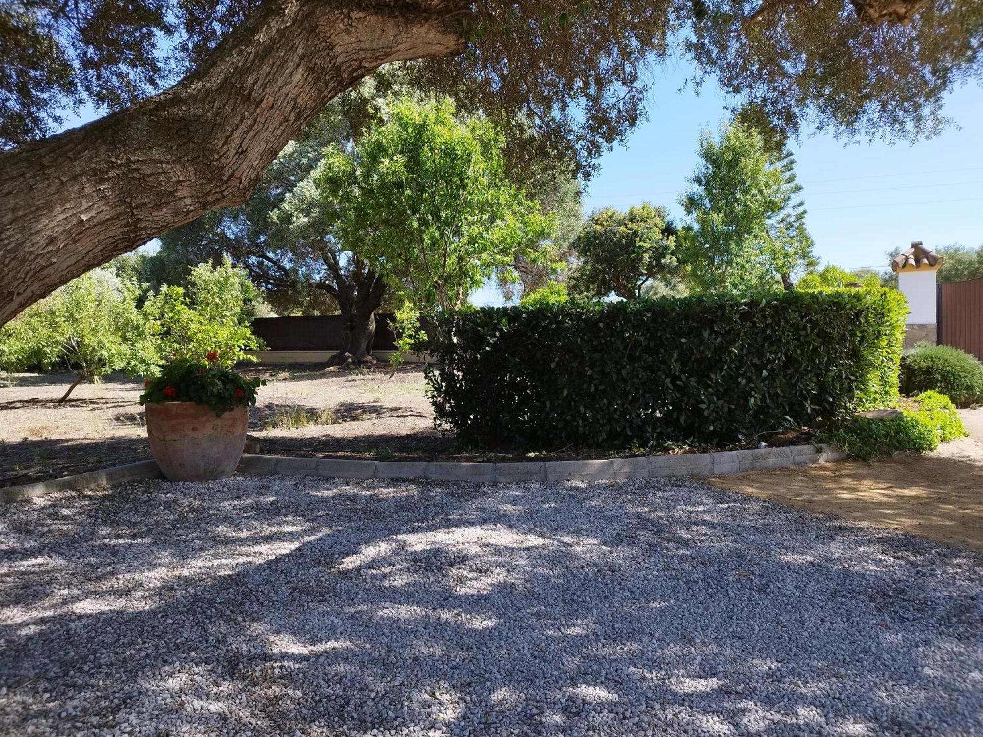 Vivienda Rural Los Madronos Malcocinado  Eksteriør bilde